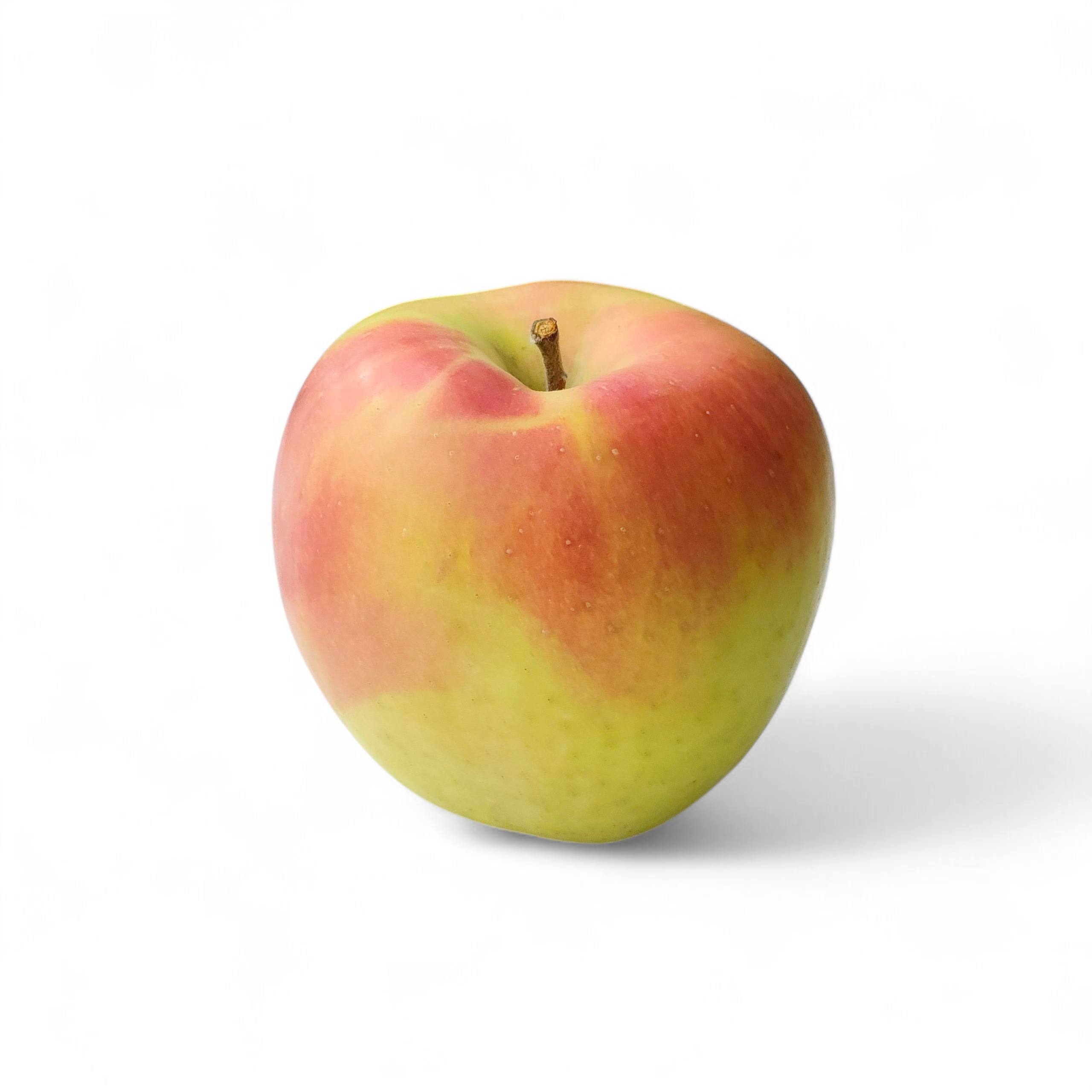 青森県産　ぐんま名月