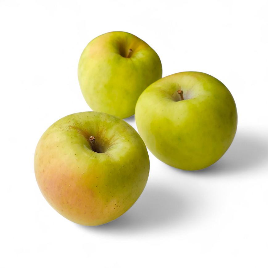 長野県産　ぐんま名月